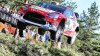 9305_Finland-Citroen-Meeke-2016_1_896x504.jpg