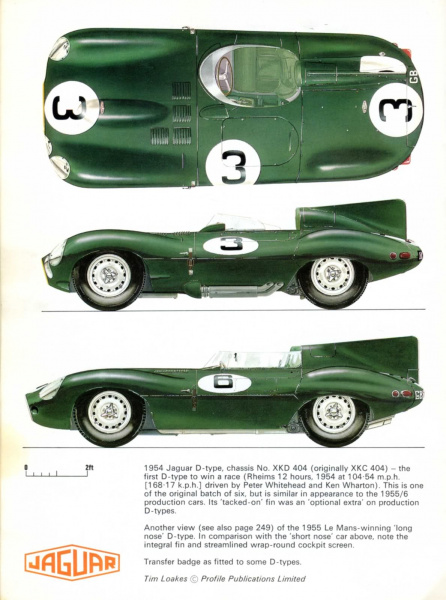 Jaguar D-type / XK-SS